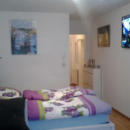 Studio Rei Apartmán Kolín nad Rýnem